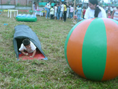 vacaciones recreativas
