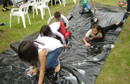 Ferias y Match por conmpetencias