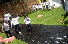 Ferias y Match por conmpetencias